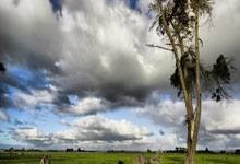  Doinb新星大比分获胜表现突出，利物浦前途光明！赢得满堂喝彩